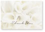 White Calla Lilies Thank You Note Cards