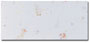 Botanical Envelopes 