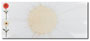 Daisies Envelope 