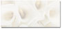 White Calla Lilies Env. 25pk.