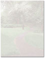 Park Path Letterhead - 100 pack