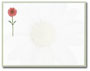 Daisies Post Card