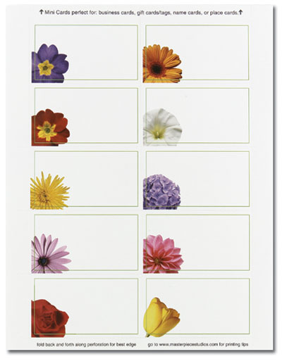 Floral Photo Mini Cards